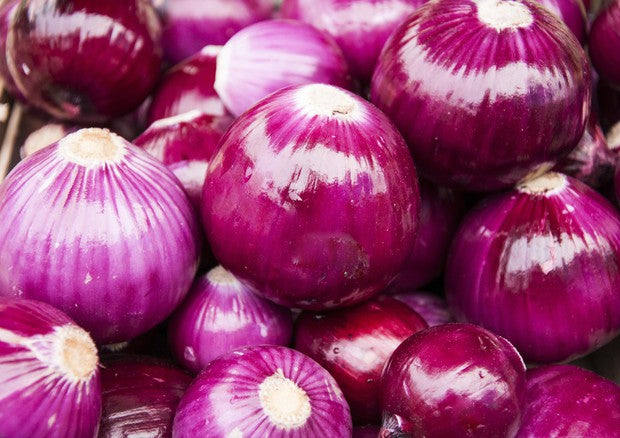 国产【茨城县】无农药、无化肥栽培、硝态氮零红洋葱（red onion）（2kg）