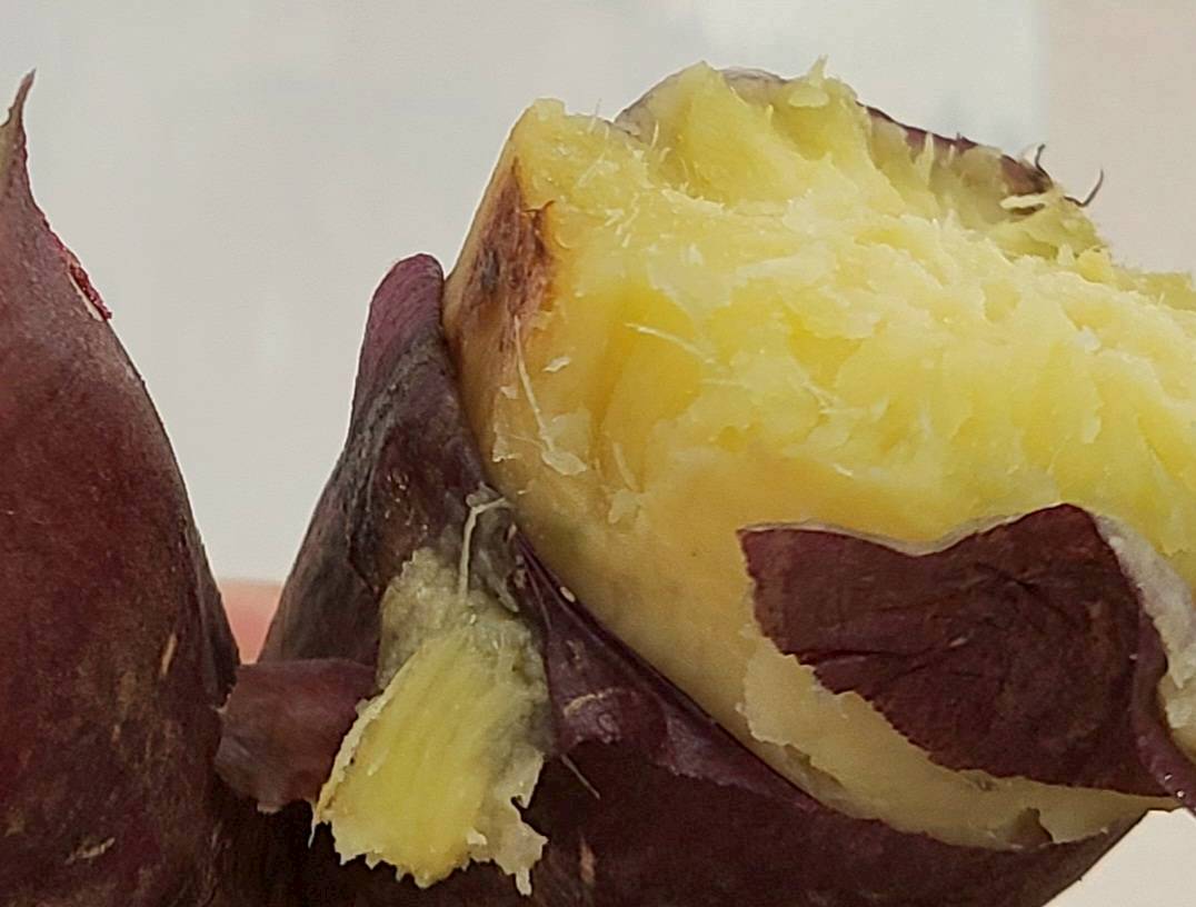 農薬不使用の紅はるか さつまいも、甘くてほくほくの自然栽培野菜