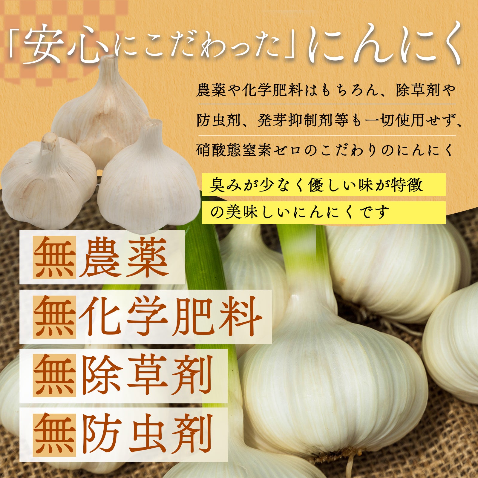 国産【茨城県産】　無農薬・無化学肥料栽培、硝酸態窒素ゼロのにんにく（500g、1kg、3kg、5kg）