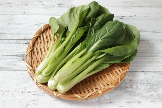 國產【茨城縣】小松菜（1kg）不使用農藥化肥，零硝態氮